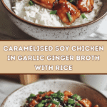 Caramelised Soy Chicken in Garlic Ginger Broth 🍗🍜
