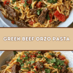 Greek Beef Orzo Pasta: Flavorful Delight 🇬🇷🍝