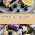 Zesty Blueberry Lemon Cake 🍋🫐