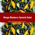 Fresh and Flavorful Mango Blueberry Spinach Salad Perfect for Summer