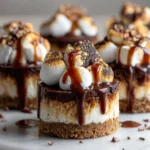 Irresistible Caramel S'mores Cheesecake Bites That Will Melt Your Heart - Featured Image
