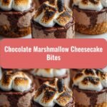 Irresistible Chocolate Marshmallow Cheesecake Bites You Must Try